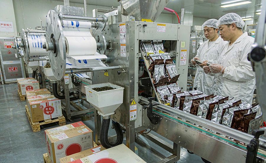 Tea processing and teabag OEM line in Anxi, China
